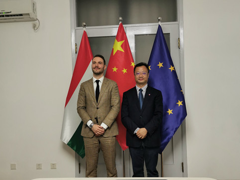 中欧协会副秘书长陈递红一行应邀赴匈牙利大使馆举行工作会谈